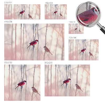 Fototapet barn Fågelpar