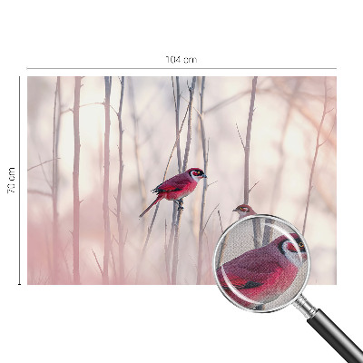 Fototapet barn Fågelpar