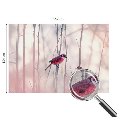 Fototapet barn Fågelpar