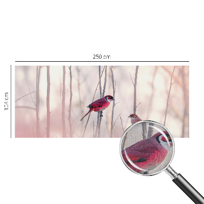 Fototapet barn Fågelpar