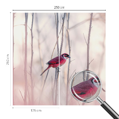 Fototapet barn Fågelpar