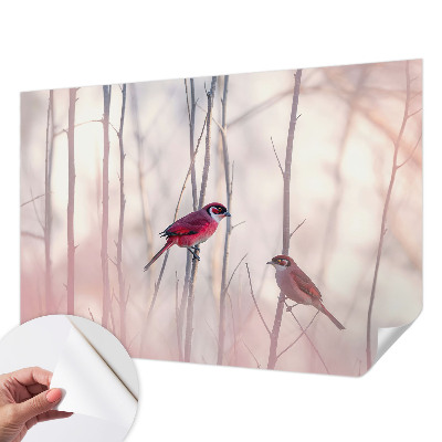 Fototapet barn Fågelpar