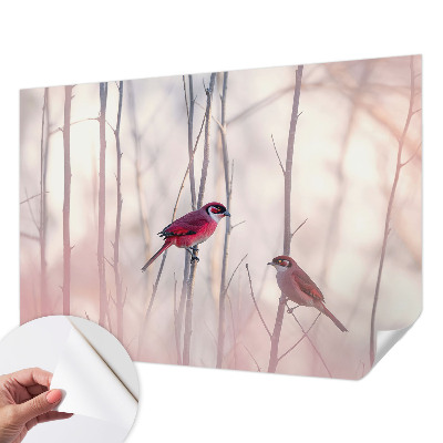 Fototapet barn Fågelpar