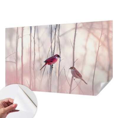 Fototapet barn Fågelpar