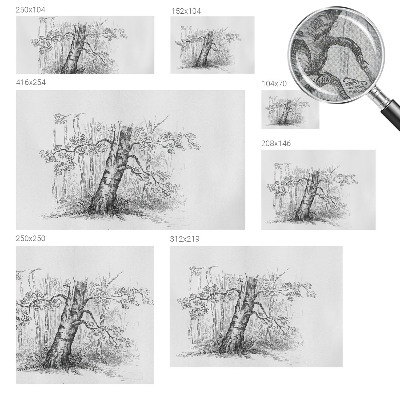 Självhäftande fototapet med motiv av skogsträd