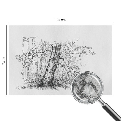 Självhäftande fototapet Skogsträd