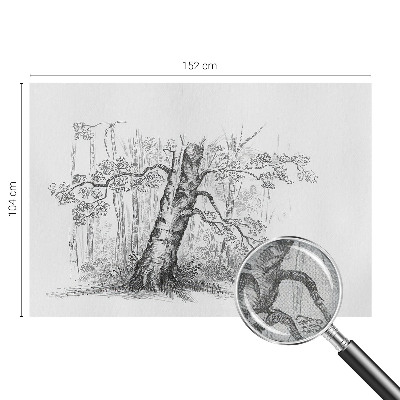 Självhäftande fototapet Skogsträd