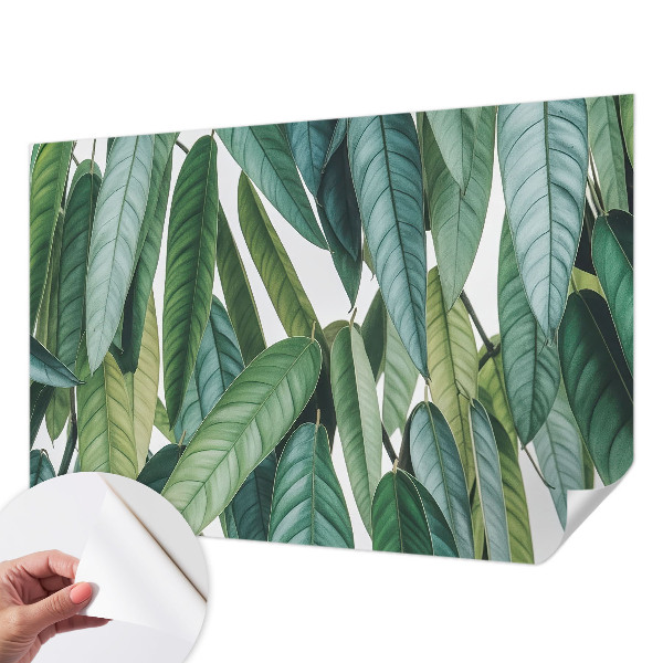 Självhäftande fotovägg med motiv av naturliga blad