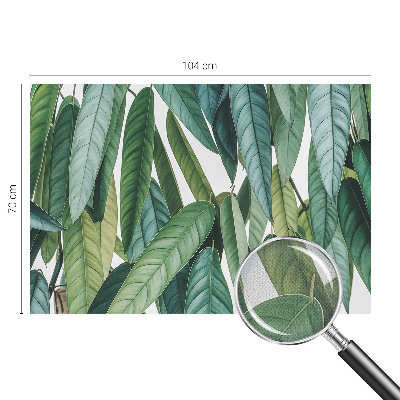 Självhäftande fotovägg med motiv av naturliga blad