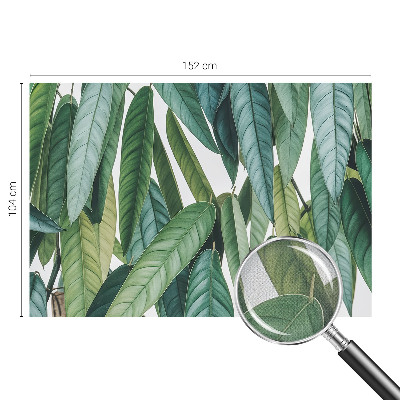 Självhäftande fotovägg med motiv av naturliga blad