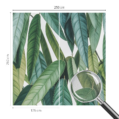 Självhäftande fotovägg med motiv av naturliga blad