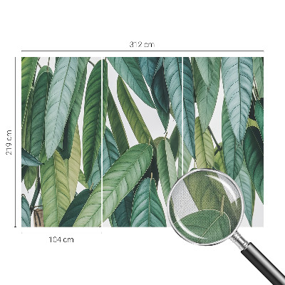 Självhäftande fotovägg med motiv av naturliga blad