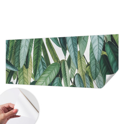 Självhäftande fotovägg med motiv av naturliga blad