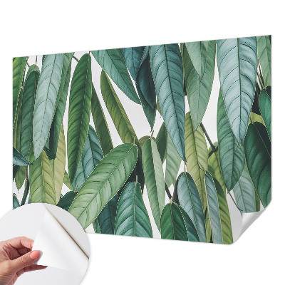 Självhäftande fotovägg med motiv av naturliga blad
