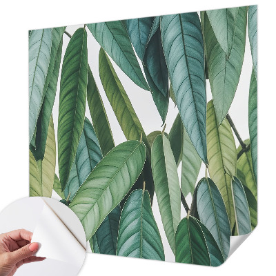 Självhäftande fotovägg med motiv av naturliga blad