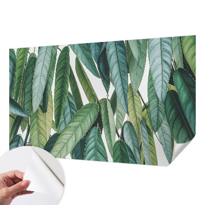 Självhäftande fotovägg med motiv av naturliga blad