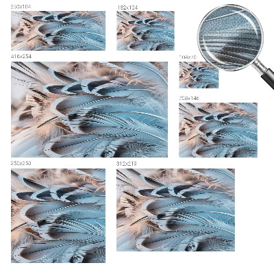 3D fototapet med blåa fjädrar