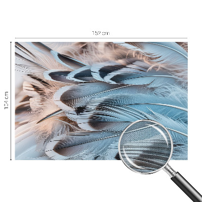 3D fototapet Blå fjädrar