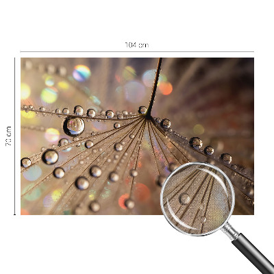 Peel and stick fototapet Pärldroppar