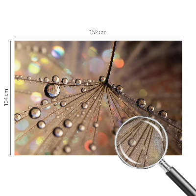 Peel and stick fototapet Pärldroppar