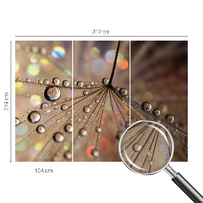 Peel and stick fototapet Pärldroppar