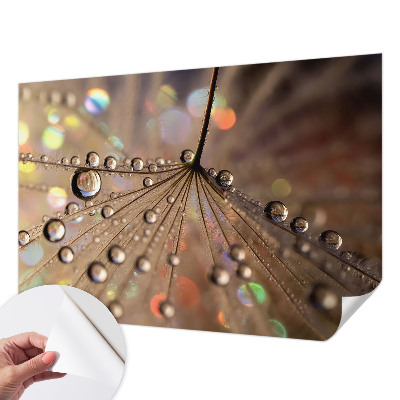 Peel and stick fototapet Pärldroppar