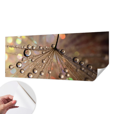 Peel and stick fototapet Pärldroppar