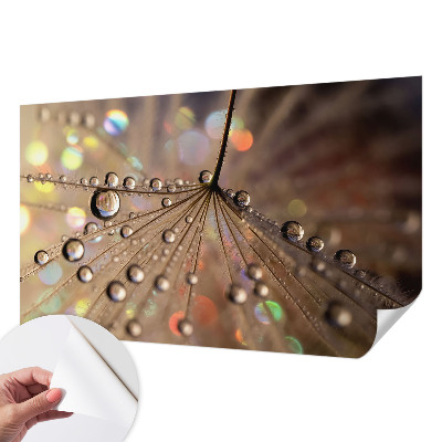Peel and stick fototapet med motiv av pärldroppar