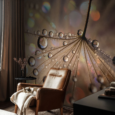 Peel and stick fototapet Pärldroppar