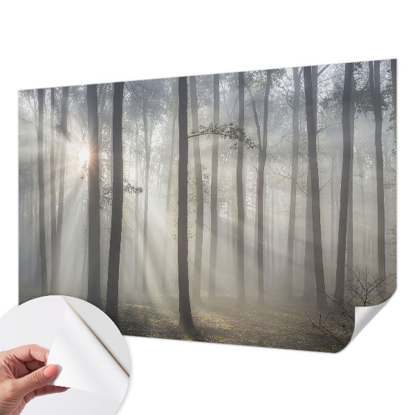 Självhäftande fotovägg med motiv av eterisk skog