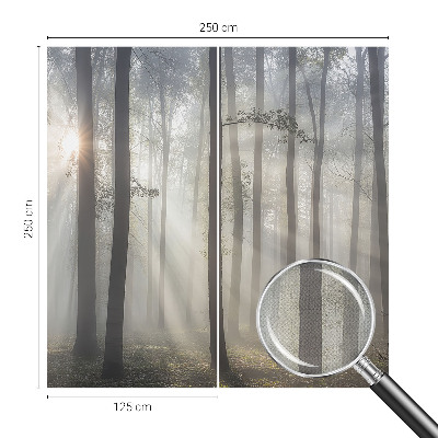 Självhäftande fotovägg med motiv av eterisk skog