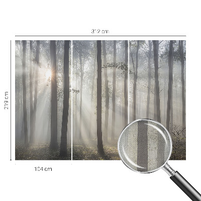 Självhäftande fotovägg med motiv av eterisk skog