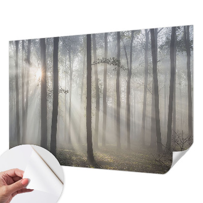 Självhäftande fotovägg med motiv av eterisk skog