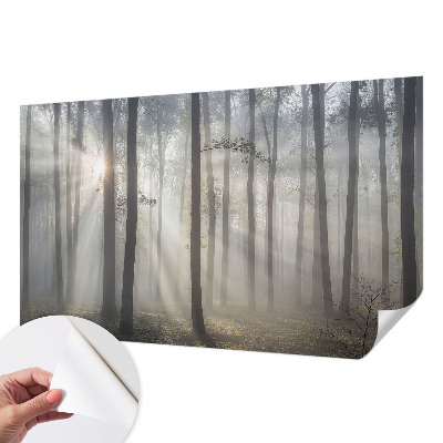 Självhäftande fotovägg med motiv av eterisk skog