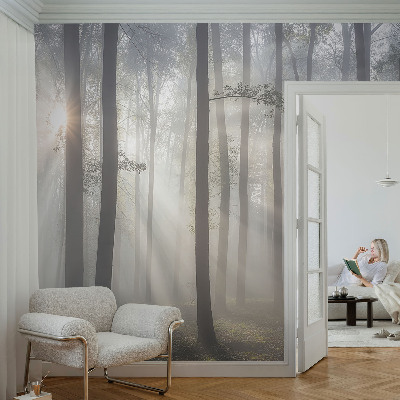 Självhäftande fotovägg med motiv av eterisk skog