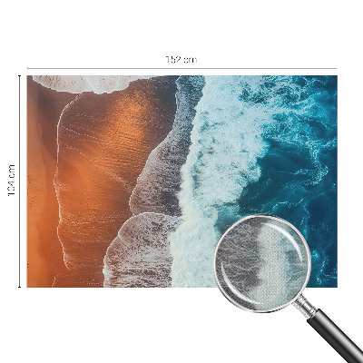 Fototapet för barn Marin symbios