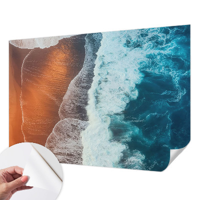 Fototapet för barn Marin symbios