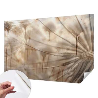 Självhäftande fototapet Subtila maskrosor