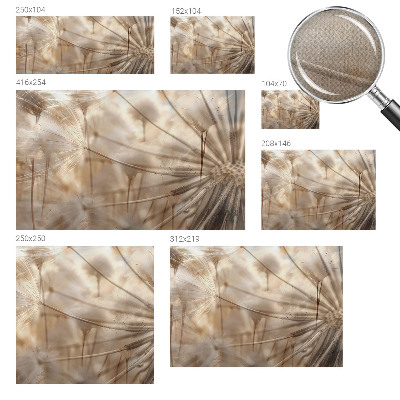 Självhäftande fototapet Subtila maskrosor