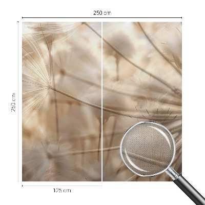 Självhäftande fototapet Subtila maskrosor