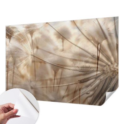 Självhäftande fototapet Subtila maskrosor