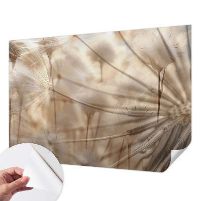 Självhäftande fototapet Subtila maskrosor