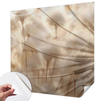 Självhäftande fototapet Subtila maskrosor