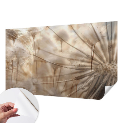 Självhäftande fototapet Subtila maskrosor