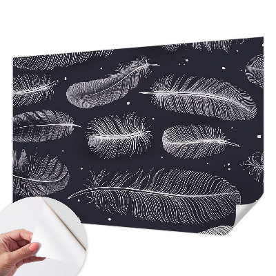 Självhäftande fotovägg Subtila fjädrar