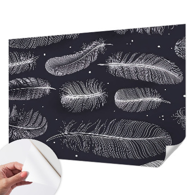 Självhäftande fotovägg Subtila fjädrar