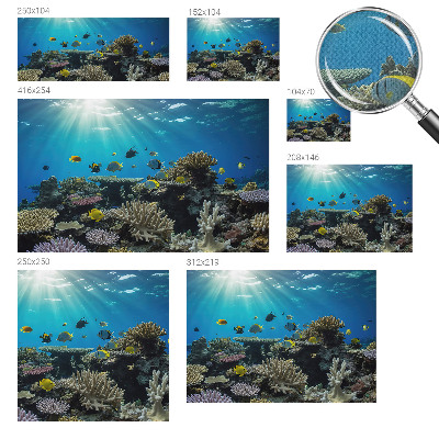 3D fototapet Undervattensvärlden