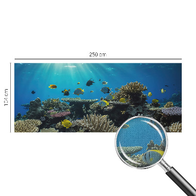 3D fototapet Undervattensvärlden