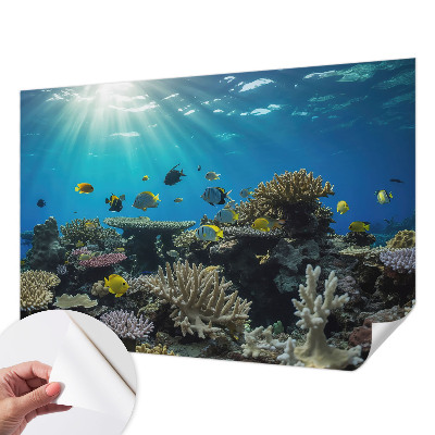 3D fototapet med motiv av undervattensvärlden