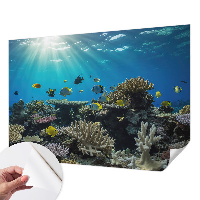 3D fototapet med motiv av undervattensvärlden